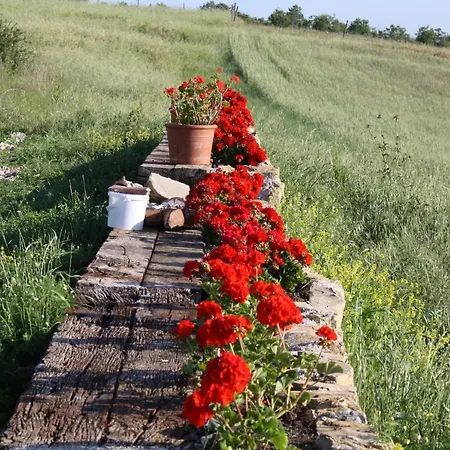公寓 Shared Apartments, Rotecastello, Collelungo, Santalucia, San Bartolomeo, Rosato, Cerretello - Happy