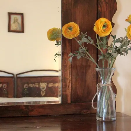 Shared Apartments, Rotecastello, Collelungo, Santalucia, San Bartolomeo, Rosato, Cerretello - Happy *