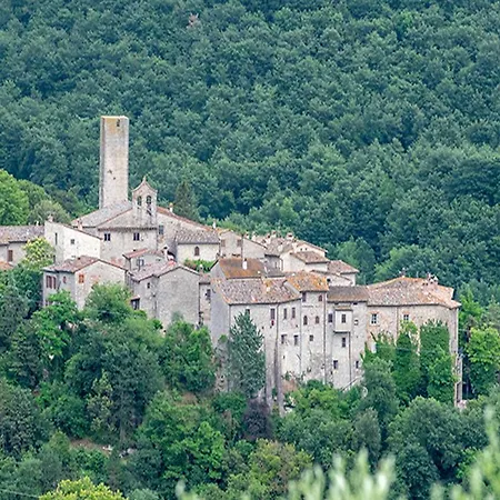 Shared Apartments, Rotecastello, Collelungo, Santalucia, San Bartolomeo, Rosato, Cerretello - Happy * San Venanzo